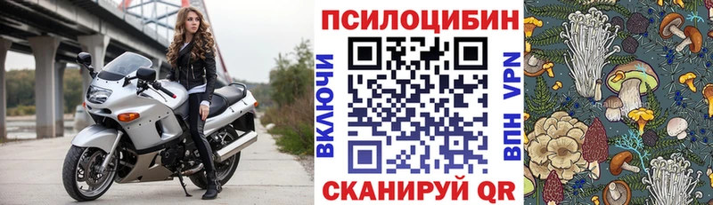 Купить закладки  Безенчук  Псилоцибиновые грибы ЛСД 